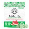 100mg Gummies Hybrid Watermelon