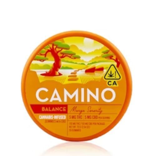 Camino Camino